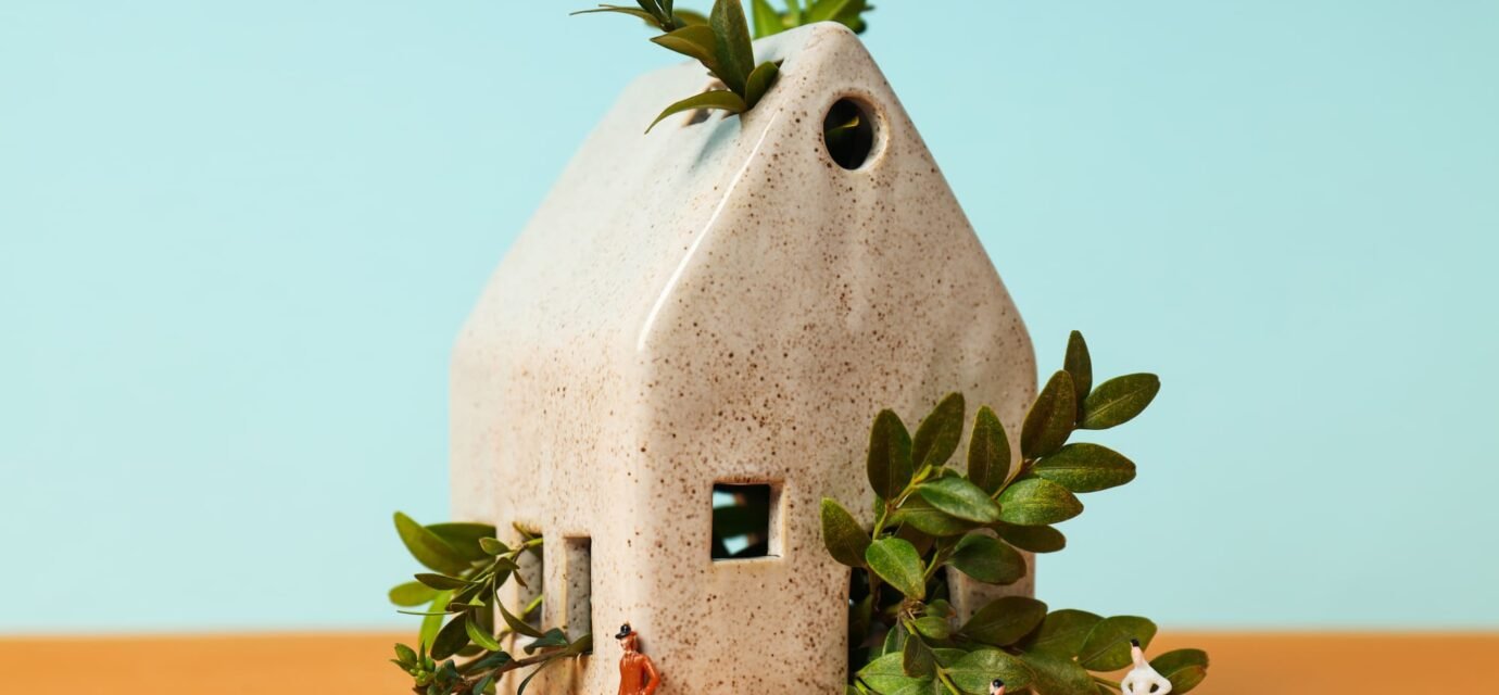 Maison Écolo : astuces pour un habitat durable petite maison en pierre avec des branches dedans