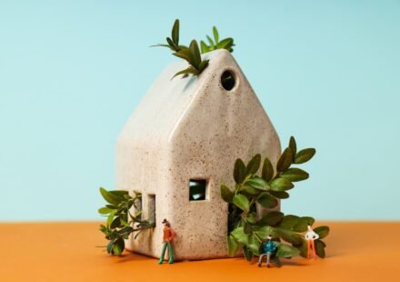 petite maison en pierre avec des branches dedans