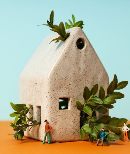 petite maison en pierre avec des branches dedans