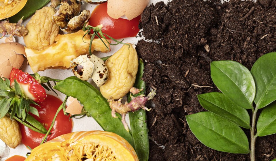Comment composter en appartement facilement